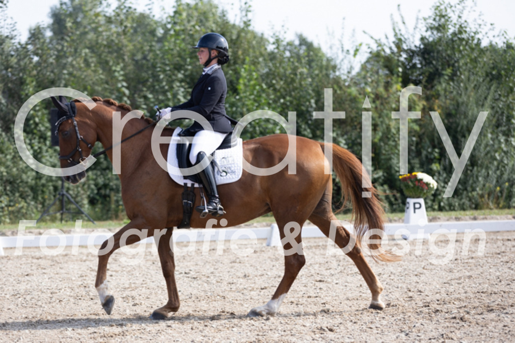 IMG_3264 | Creatify Fotografie