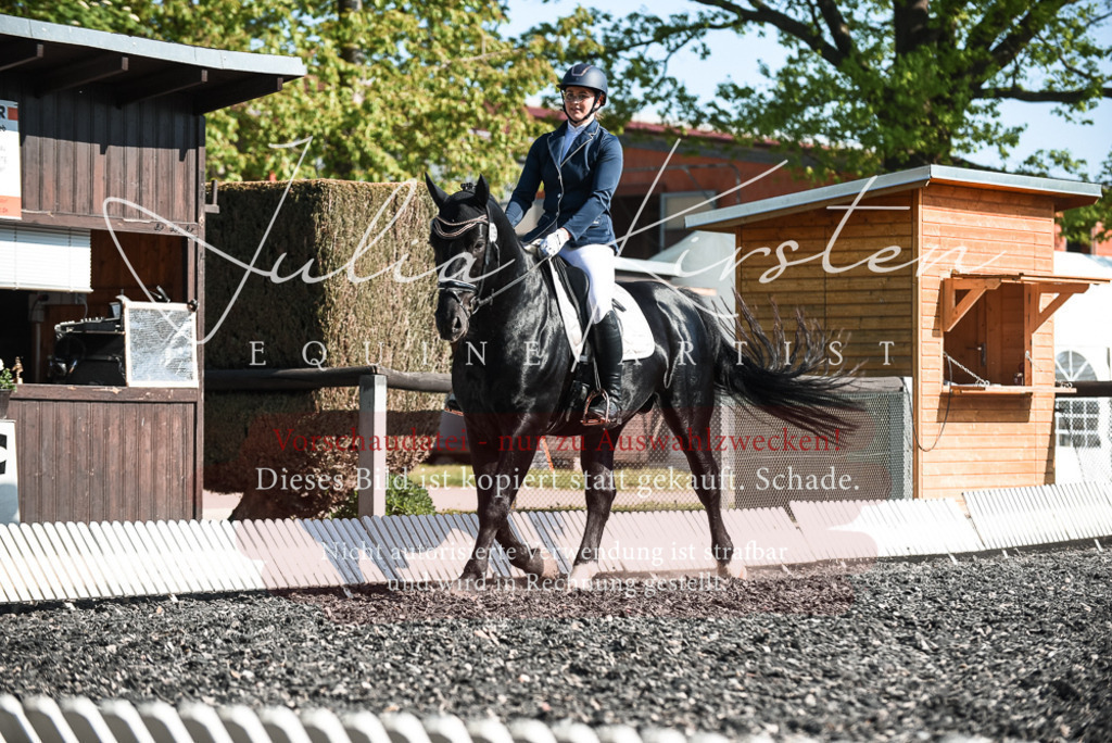 DSC_8476 | Pferde- und Turnierfotografie in Westsachsen. Pferdeportraits, Auftragszeichnungen und intuitive Kunst.