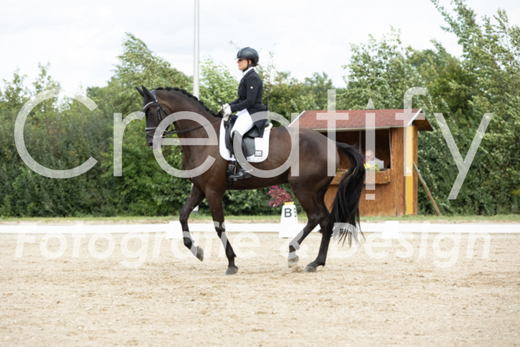 IMG_6847 | Creatify Fotografie