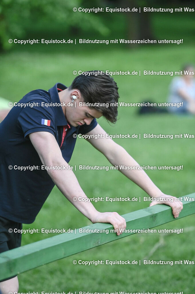 D78_3343 | equistock