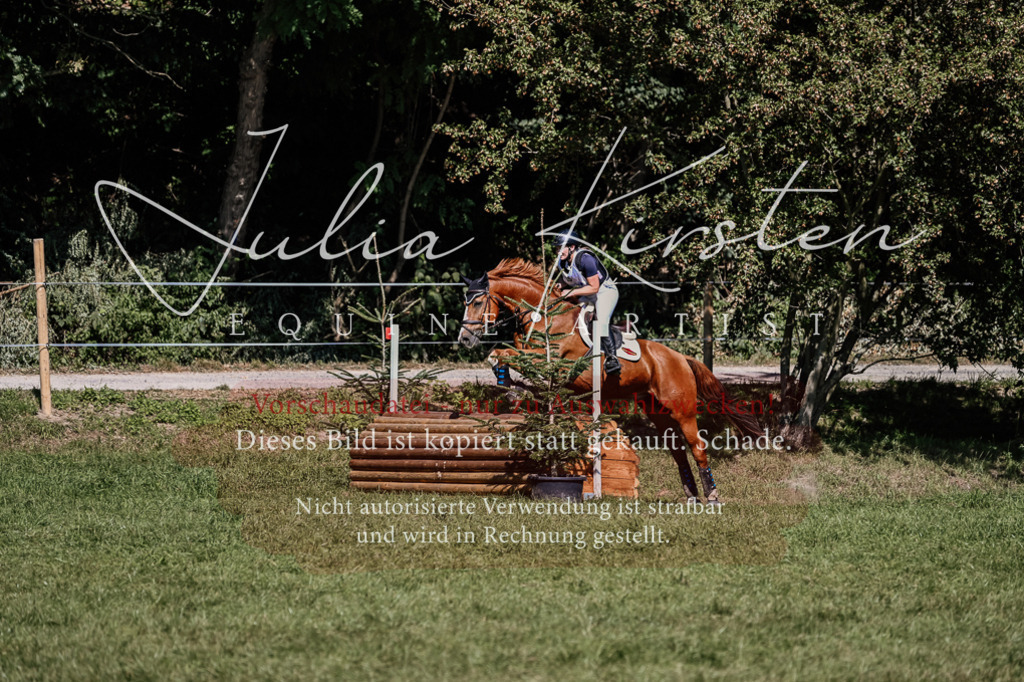 DSC_1886 | Pferde- und Turnierfotografie in Westsachsen. Pferdeportraits, Auftragszeichnungen und intuitive Kunst.