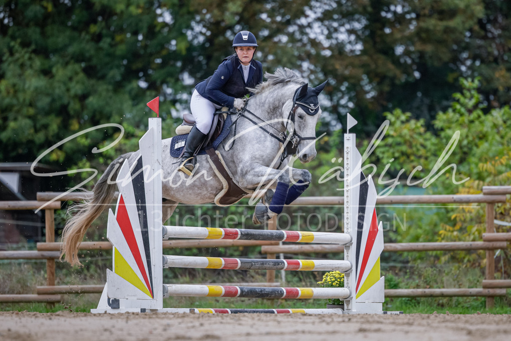 20251012-_3LI3324 | Tierfotografie Pferde, Hunde, Katzen, Haustiere.
Turnierfotografie Reitturniere, Reiten, Springreiten, Dressur in Hanau, dem Main-Kinzig-Kreis und dem Rhein-Main- Gebiet um Frankfurt