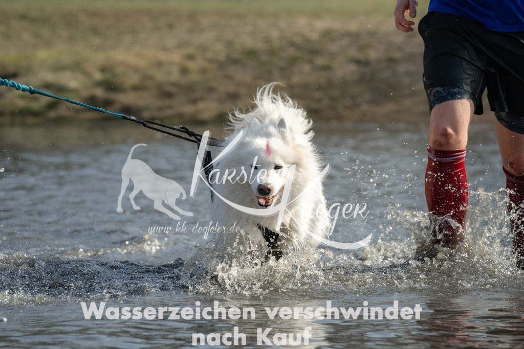 1255_ZZ92959 | kk-dogfotos