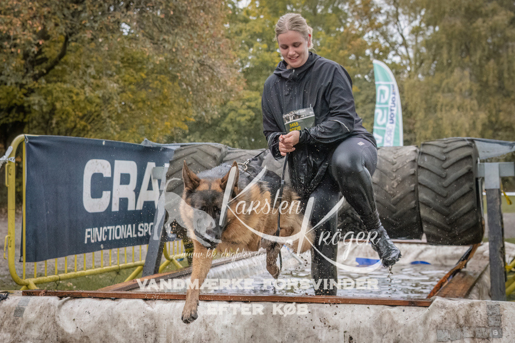 1631_ZZ93868 | kk-dogfotos