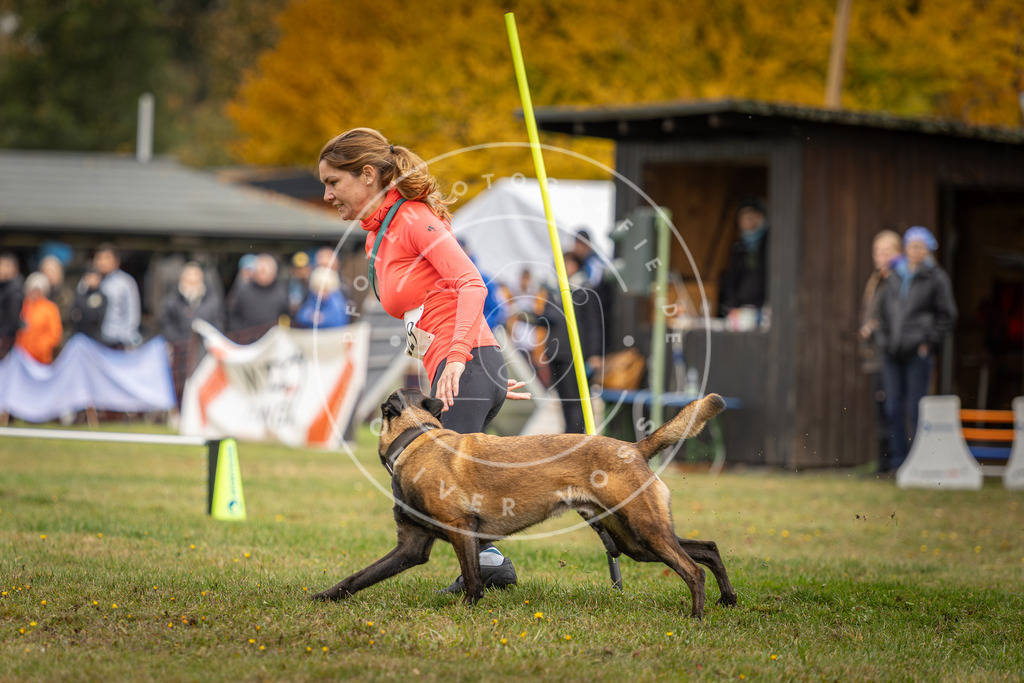Pfotenfotografie_DV3A3279 | Hundefotografie, Tierfotograf, Pfotenfotografie, Fotoshooting Hund, Hunde Portrait, Hundesport, Hundeportraits, Heideshooting, Hunde, Sportfotograf, Hundefotograf, Turnierhundsport, THS,  - Realisiert mit Pictrs.com