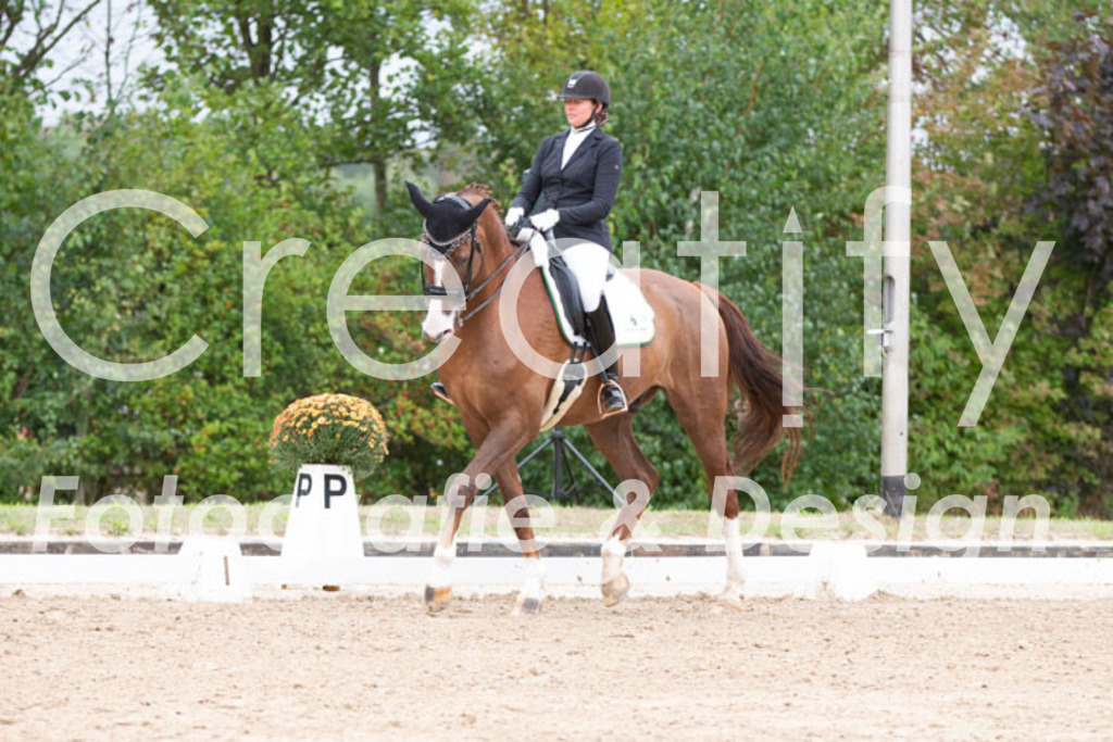 IMG_7238 | Creatify Fotografie