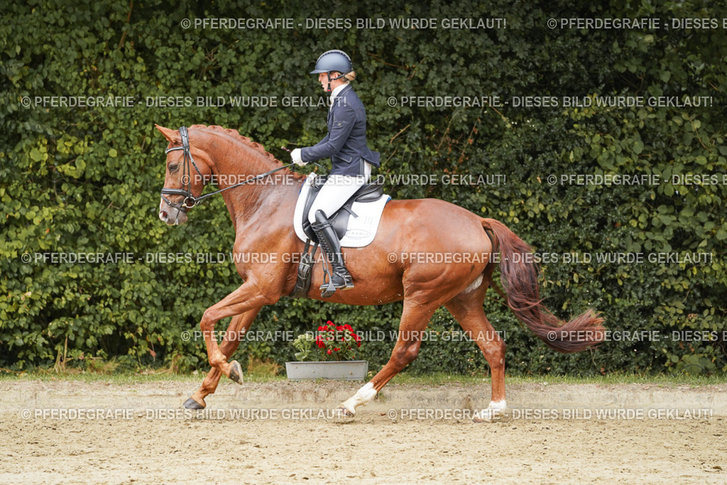 DSC09427 | Pferdegrafie