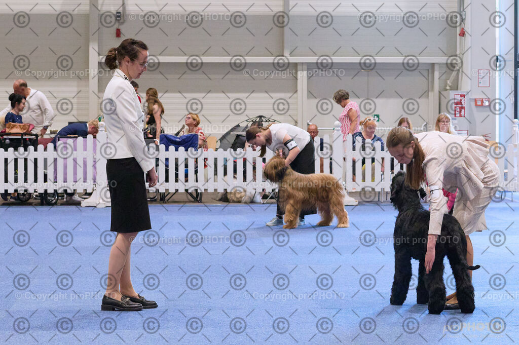 202406_ÖKV-IHA-Tulln24_DSC_3544 | proPHOTO - Realisiert mit Pictrs.com