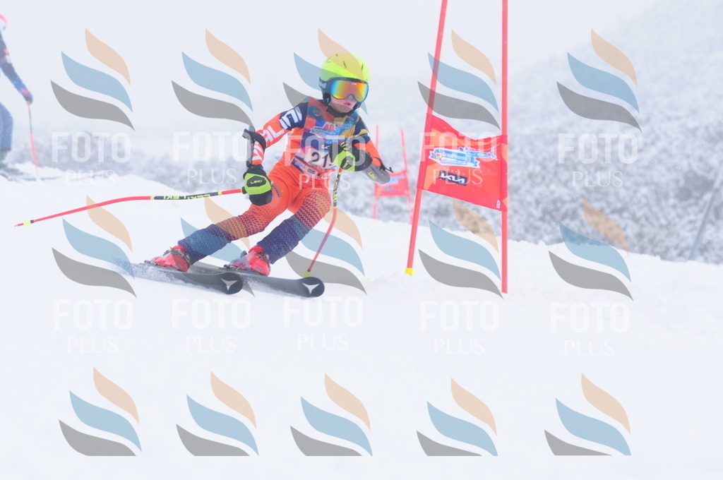 C2332 | holidayphoto