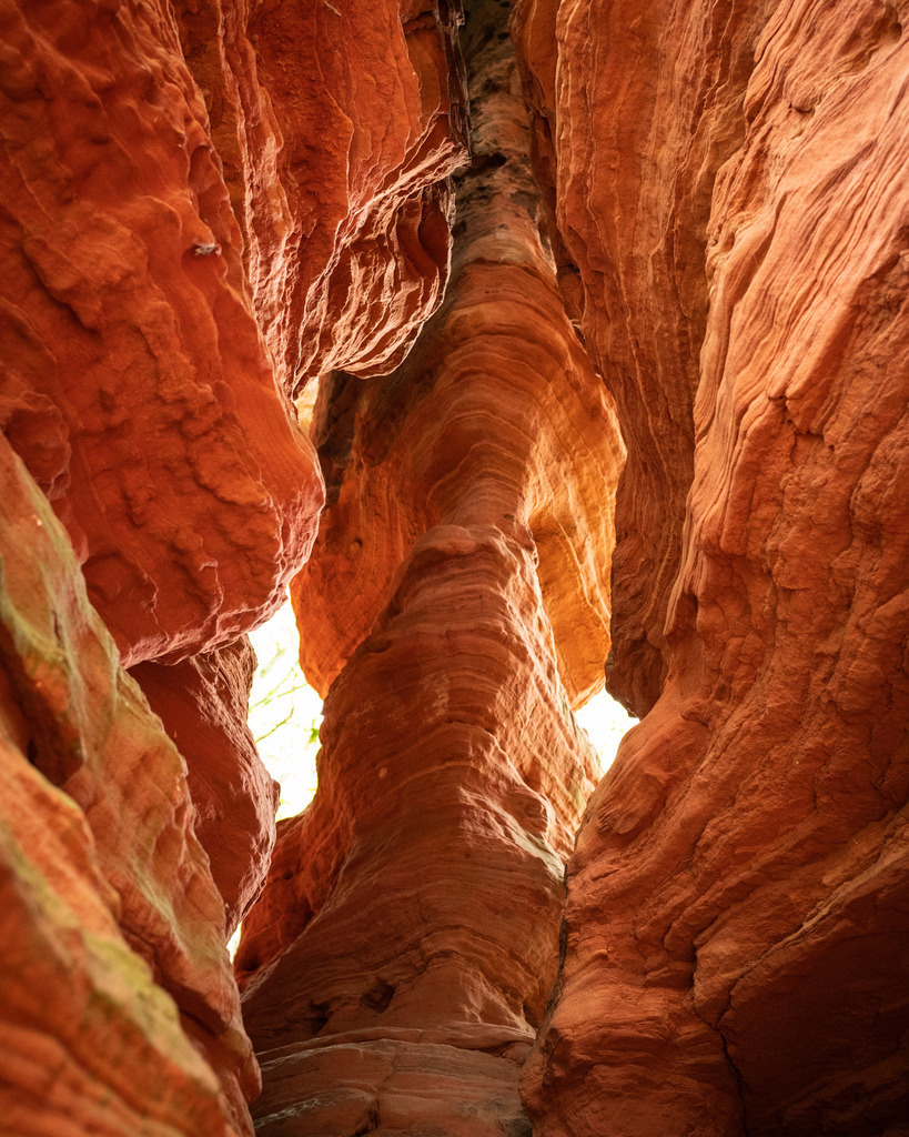 Altschlossfelsen im Pfälzer Wald | Zu einer bestimmten Zeit des Tages glühen die roten Felsen im Pfälzer Wald, als würden sie brennen. 