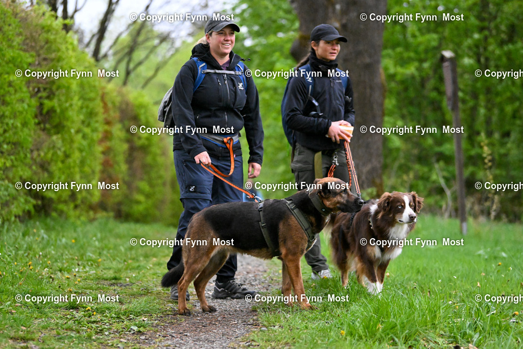 DSC_6904 | Hallo und herzlich Willkommen auf meiner Shop-Seite Fynn Most.

Ich wünsche Dir viel Spaß beim stöbern durch die Bilder, wenn Du Fragen hast oder Bilder vermisst, kannst du mir gerne eine Nachricht schreiben. - Realisiert mit Pictrs.com