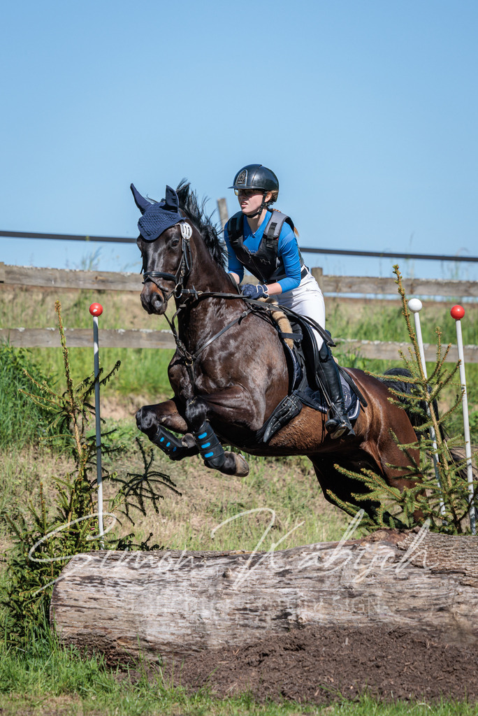 20260523-_3LI6731 | Tierfotografie Pferde, Hunde, Katzen, Haustiere.
Turnierfotografie Reitturniere, Reiten, Springreiten, Dressur in Hanau, dem Main-Kinzig-Kreis und dem Rhein-Main- Gebiet um Frankfurt