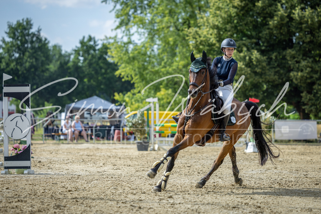 20260704-_3LI1810 | Tierfotografie Pferde, Hunde, Katzen, Haustiere.
Turnierfotografie Reitturniere, Reiten, Springreiten, Dressur in Hanau, dem Main-Kinzig-Kreis und dem Rhein-Main- Gebiet um Frankfurt