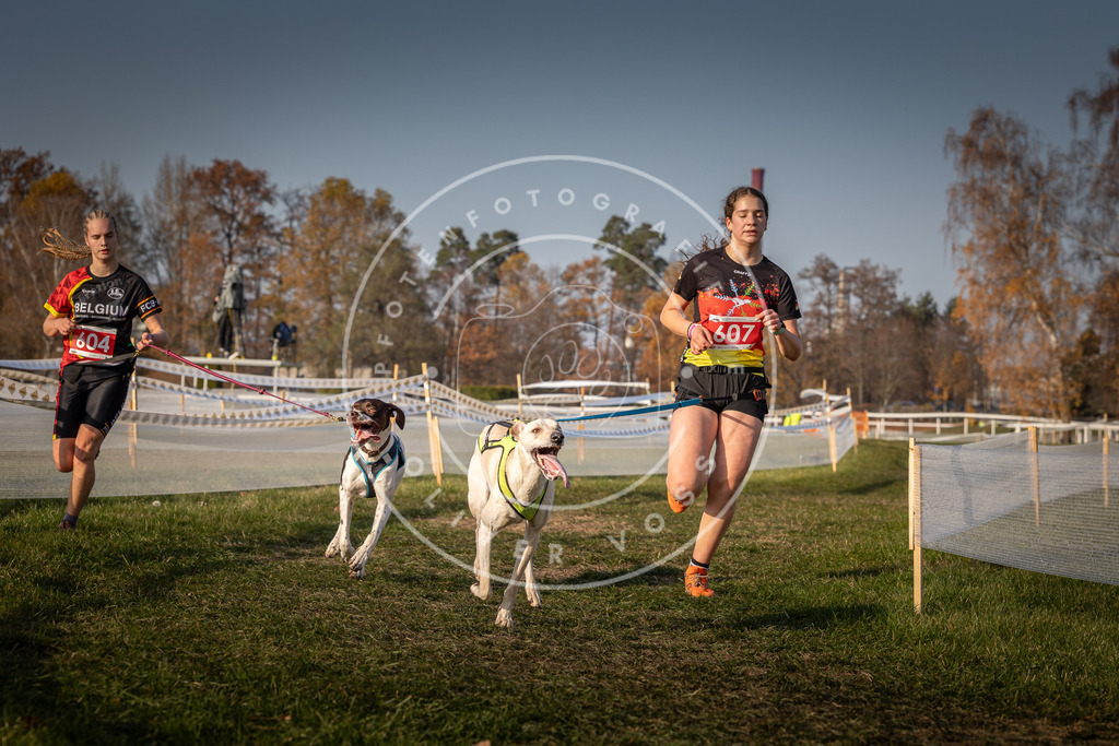 CaniXpix_0L8A0107 | Hundefotografie, Tierfotograf, Pfotenfotografie, Fotoshooting Hund, Hunde Portrait, Hundesport, Hundeportraits, Heideshooting, Hunde, Sportfotograf, Hundefotograf, Turnierhundsport, THS,  - Realisiert mit Pictrs.com