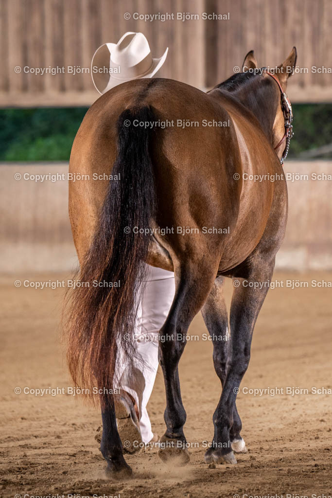 LMB07739 | BS-foto