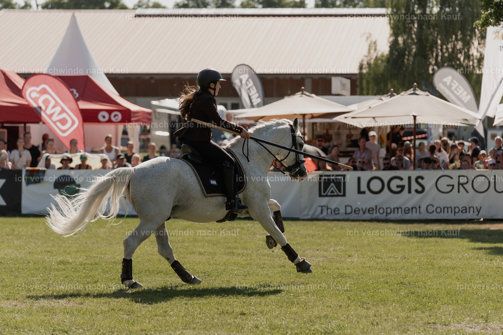 SIN00650 | Pferd International München 2025