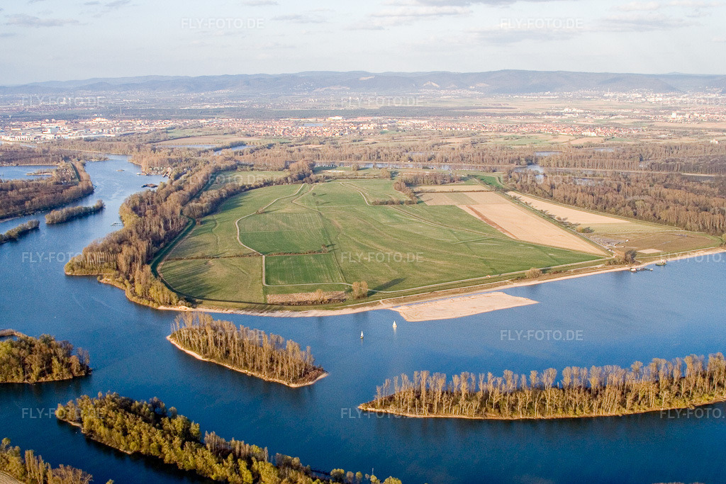 Luftbild: Koller-Insel am Ufer des Flußverlaufes Koller See und Otterstädter Altrhein in Otterstadt im Bundesland Rheinland-Pfalz in Deutschland. Foto: IMG_10057.jpg vom 29.03.2008 durch Werner Riehm/FLY-FOTO.de