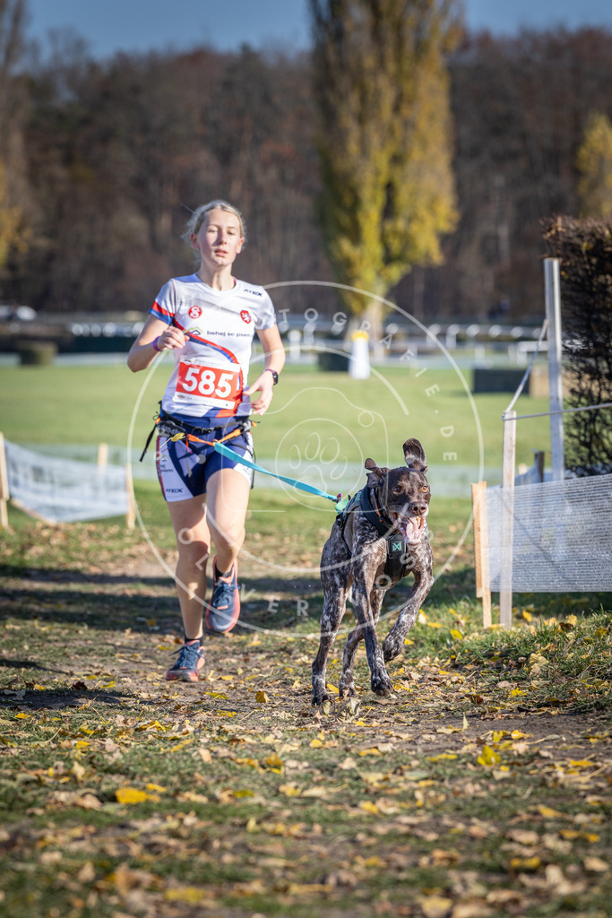 CaniXpix_DV3A9140 | Hundefotografie, Tierfotograf, Pfotenfotografie, Fotoshooting Hund, Hunde Portrait, Hundesport, Hundeportraits, Heideshooting, Hunde, Sportfotograf, Hundefotograf, Turnierhundsport, THS,  - Realisiert mit Pictrs.com