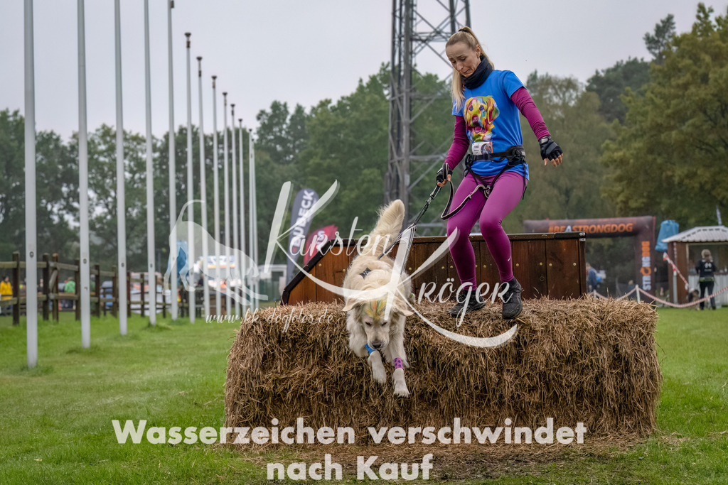 1230--22 | kk-dogfotos