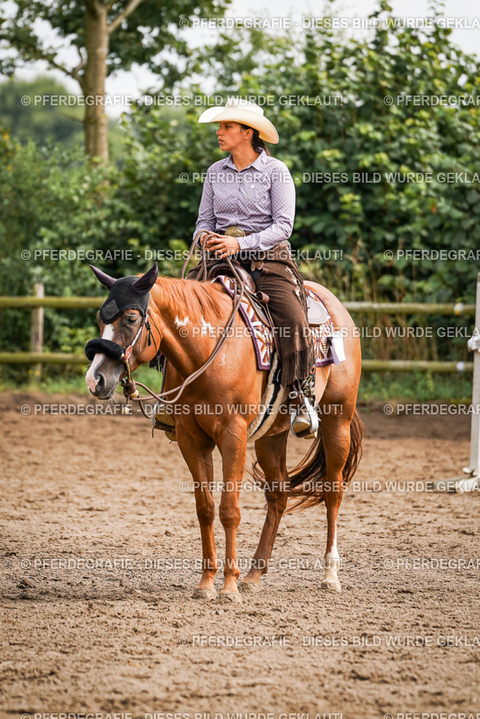 DSC08451 | Pferdegrafie