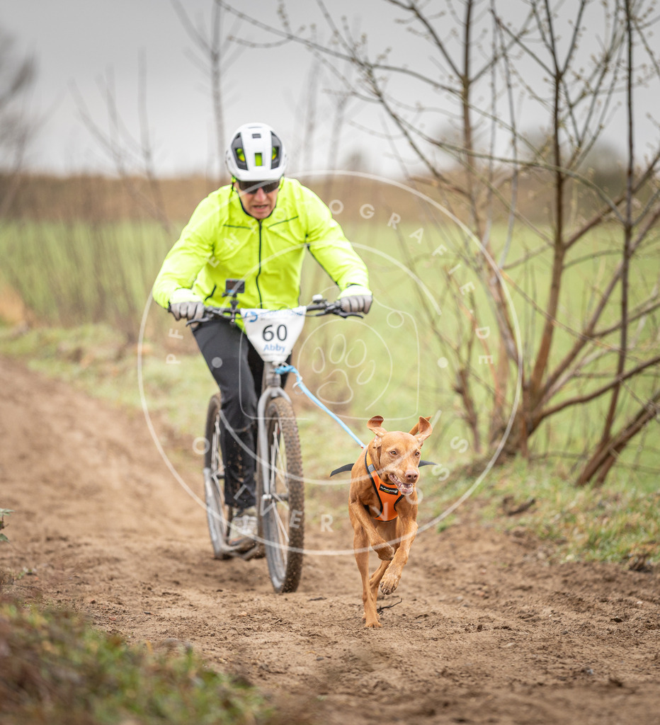 DV3A9362 | Hundefotografie, Tierfotograf, Pfotenfotografie, Fotoshooting Hund, Hunde Portrait, Hundesport, Hundeportraits, Heideshooting, Hunde, Sportfotograf, Hundefotograf, Turnierhundsport, THS,  - Realisiert mit Pictrs.com
