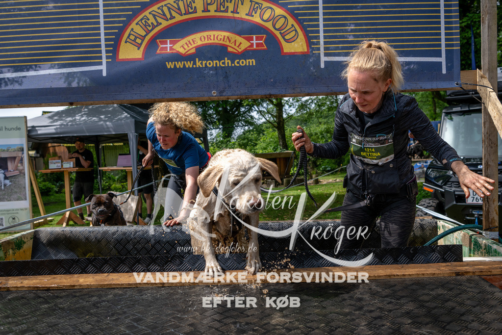 1122_ZZ93842 | kk-dogfotos