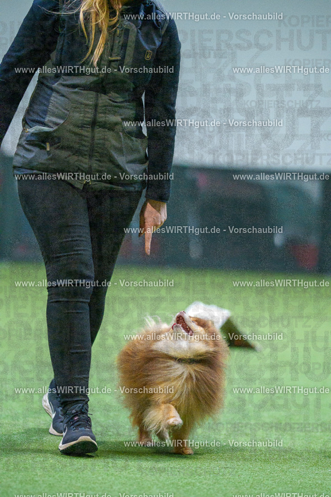 7R501801 | Professionelle Tierfotografie in Mönchengladbach von Daniel Wirth (allesWIRTHgut). Liebevolle & natürliche Bilder von Hunden & Katzen für unvergessliche Erinnerungen.