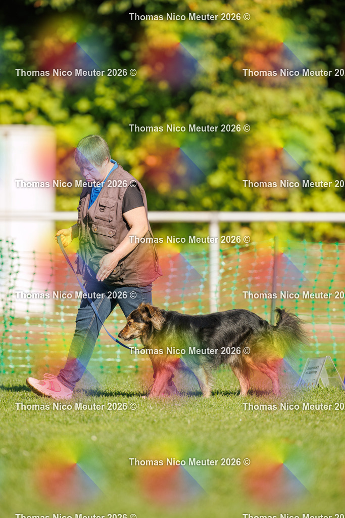 Thomas_Nico_Meuter(C)_04. Oktober 2026_223A1281 | Bild von Thomas Nico Meuter - Realisiert mit Pictrs.com