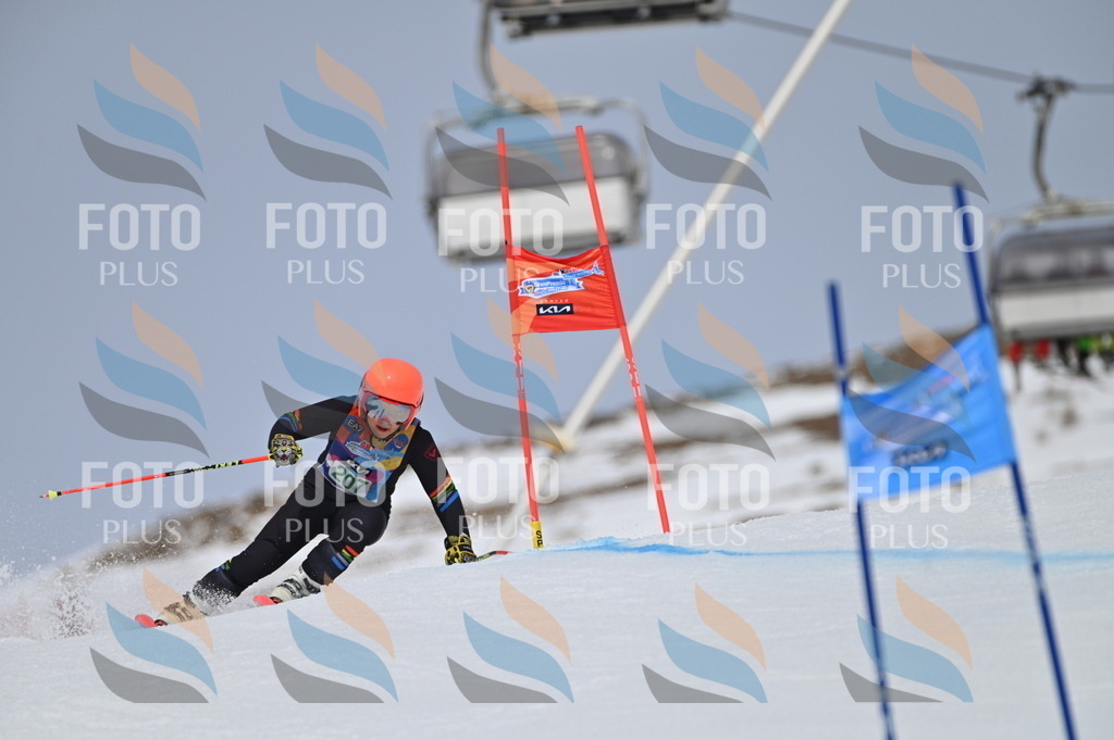 BGV_3992 | holidayphoto