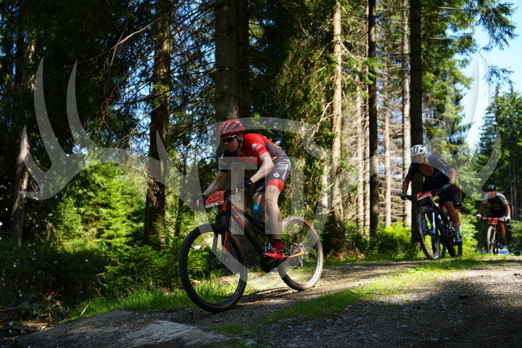 FC101595 | Fotogalerie der Treibjagd im Dunkelwald - Dein MTB Etappenrennen im Erzgebirge - Realisiert mit Pictrs.com
