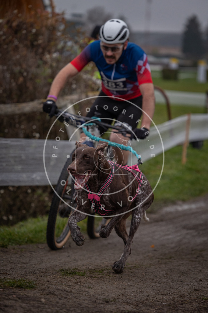 CaniXpix_0L8A1531 | Hundefotografie, Tierfotograf, Pfotenfotografie, Fotoshooting Hund, Hunde Portrait, Hundesport, Hundeportraits, Heideshooting, Hunde, Sportfotograf, Hundefotograf, Turnierhundsport, THS,  - Realisiert mit Pictrs.com