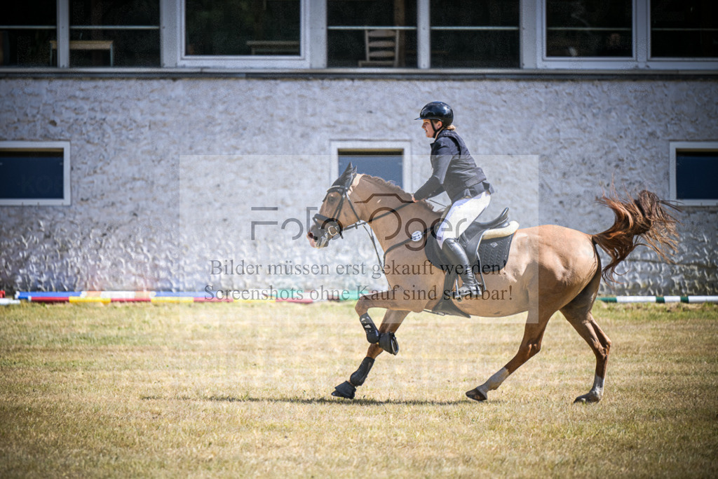DOS_0228 | Entdecke hochwertige Reitturnierfotos von Foto Oger. Professionell, emotional und authentisch – jetzt Lieblingsmomente im Shop bestellen.Deutschlandweite Turnierfotografie. - Realisiert mit Pictrs.com