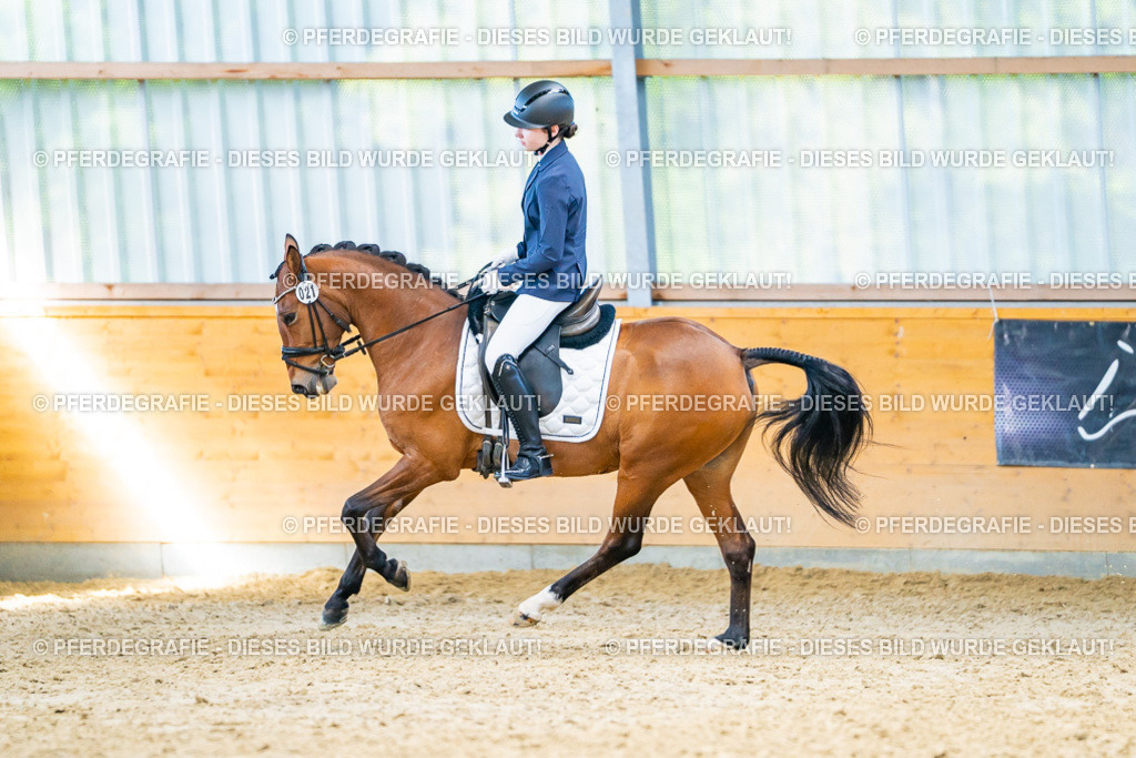 DSC07970 | Pferdegrafie