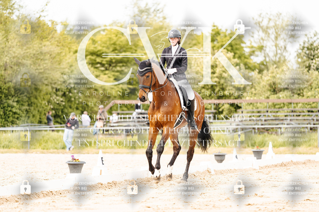 CK900800 | Turnierfotografie Pferdefotografie Trier Rheinland-Pfalz Pferdesport Reitsport Tierfotografie Sportfotografie Pferdevideo Pferdevideografie Equestrianvideography equestrianphotography  - Realisiert mit Pictrs.com