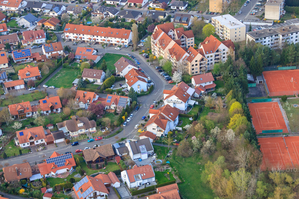 Luftbild: Blumenring in Jockgrim im Bundesland Rheinland-Pfalz in Deutschland. Foto: IMG_63425.jpg vom 28.03.2014 durch Werner Riehm/FLY-FOTO.de