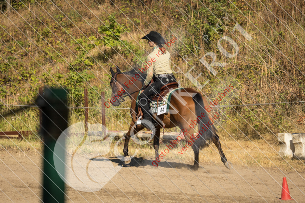 IMG_6598 | Sport-, Event- und Tierfotos in Profiqualität. Einfach auswählen, bestellen und herunterladen. Dein Moment – perfekt festgehalten.