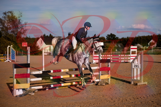 2026_10_03_Siefer-Hof_171341_Z81_10658204 | Professionelle Reitsport-, Turnier- und Eventfotografie von Robert Broda. Galerien mit ausgewählten und bearbeiteten Bildern direkt online ansehen und bestellen.
