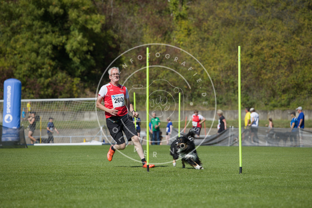 0L8A6439 | Hundefotografie, Tierfotograf, Pfotenfotografie, Fotoshooting Hund, Hunde Portrait, Hundesport, Hundeportraits, Heideshooting, Hunde, Sportfotograf, Hundefotograf, Turnierhundsport, THS,  - Realisiert mit Pictrs.com