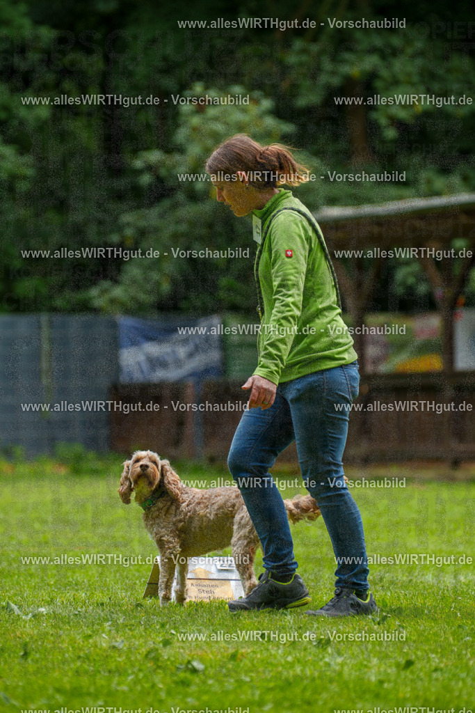 @allesWIRTHgut_Tierfotografie - www.allesWIRTHgut.de - 092432-7R507073 | Professionelle Tierfotografie in Mönchengladbach von Daniel Wirth (allesWIRTHgut). Liebevolle & natürliche Bilder von Hunden & Katzen für unvergessliche Erinnerungen.