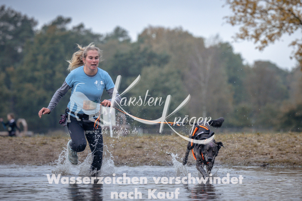 1155_ZZ97338 | kk-dogfotos