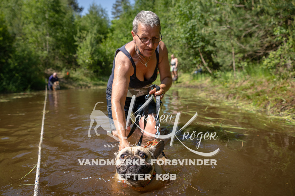 1516DKK992767 | kk-dogfotos