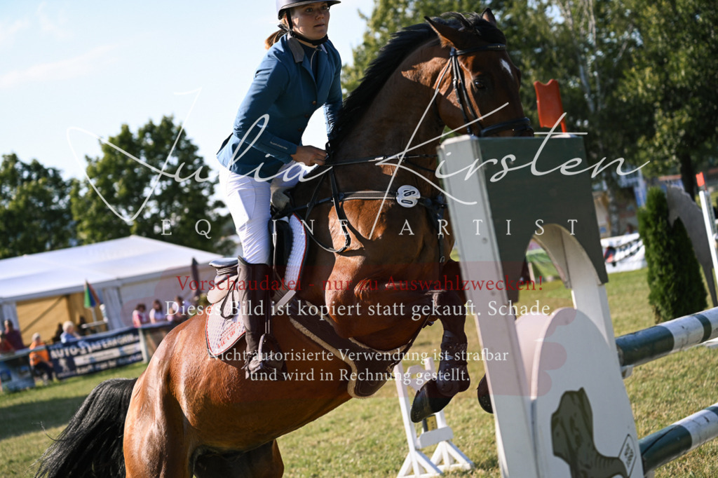 DSC_1591 | Pferde- und Turnierfotografie in Westsachsen. Pferdeportraits, Auftragszeichnungen und intuitive Kunst.