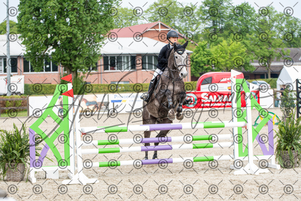 KPT_2564 | andre_photographic