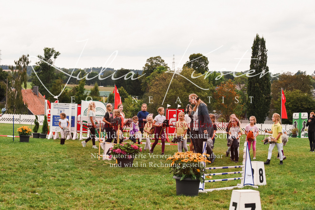 DSC_4420 | Pferde- und Turnierfotografie in Westsachsen. Pferdeportraits, Auftragszeichnungen und intuitive Kunst.