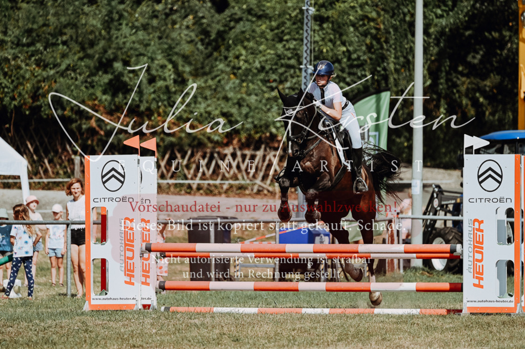 DSC_0053 | Pferde- und Turnierfotografie in Westsachsen. Pferdeportraits, Auftragszeichnungen und intuitive Kunst.