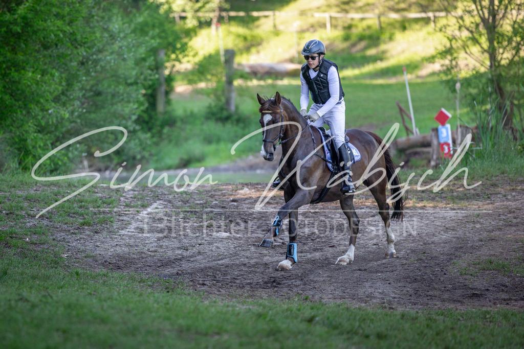 20260523-_3LI6003 | Tierfotografie Pferde, Hunde, Katzen, Haustiere.
Turnierfotografie Reitturniere, Reiten, Springreiten, Dressur in Hanau, dem Main-Kinzig-Kreis und dem Rhein-Main- Gebiet um Frankfurt