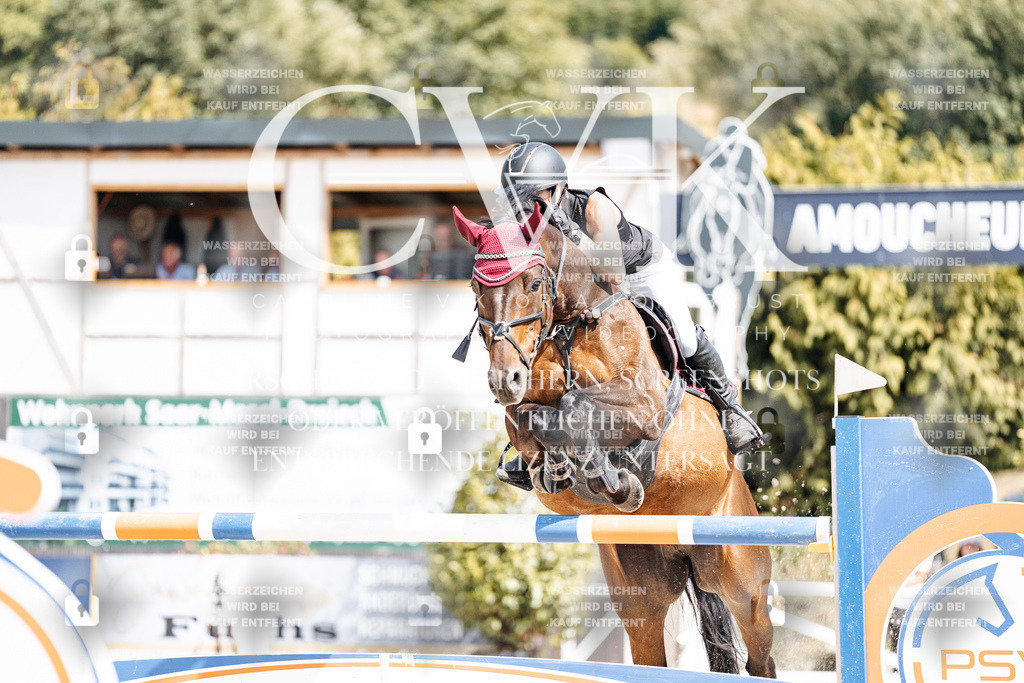 CK905319 | Turnierfotografie Pferdefotografie Trier Rheinland-Pfalz Pferdesport Reitsport Tierfotografie Sportfotografie Pferdevideo Pferdevideografie Equestrianvideography equestrianphotography  - Realisiert mit Pictrs.com