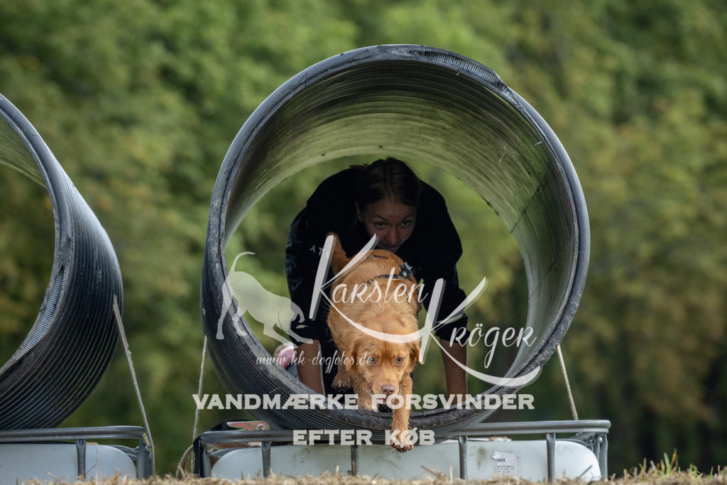 1036_ZZ92563 | kk-dogfotos