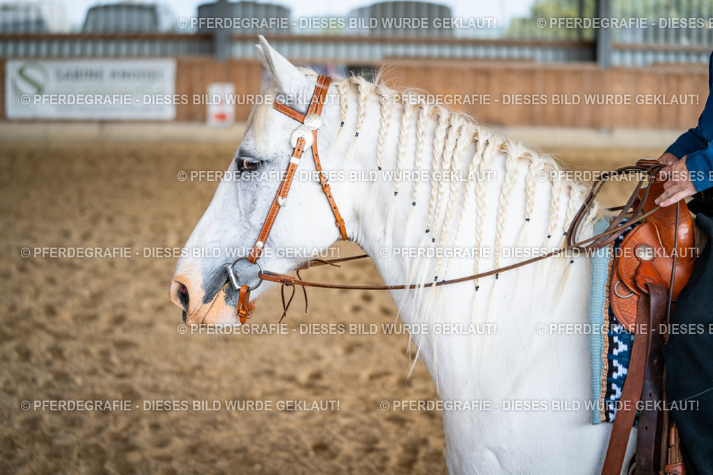 DSC08776 | Pferdegrafie