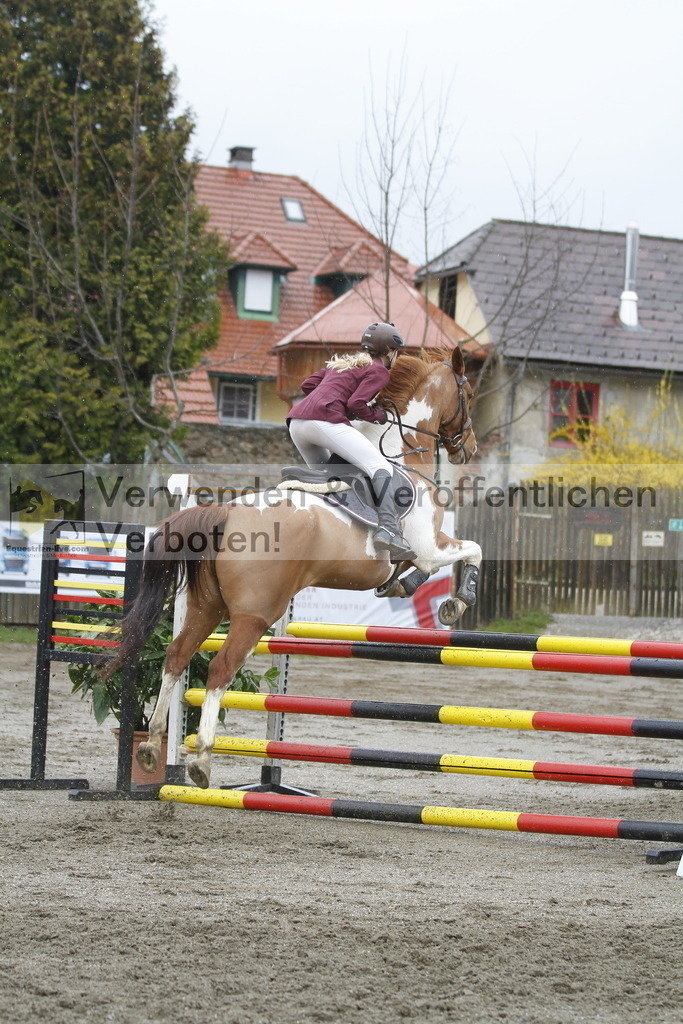 _MG_2574 | equestrian-live-com